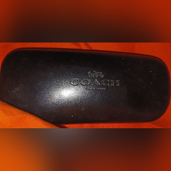 Designer sunglasses cases - Picture 9 of 14